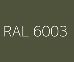 RAL 6003