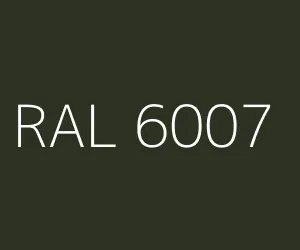RAL 6007