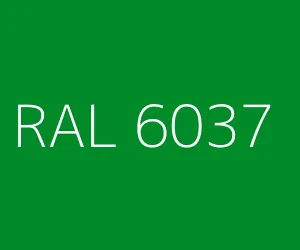 RAL 6037